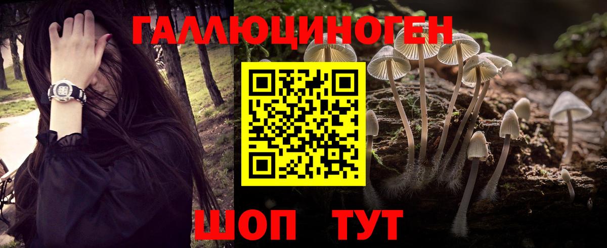 Псилоцибиновые грибы прущие грибы  Вход с VPN  Гай  наркотики  Псилоцибиновые грибы GOLDEN TEACHER 