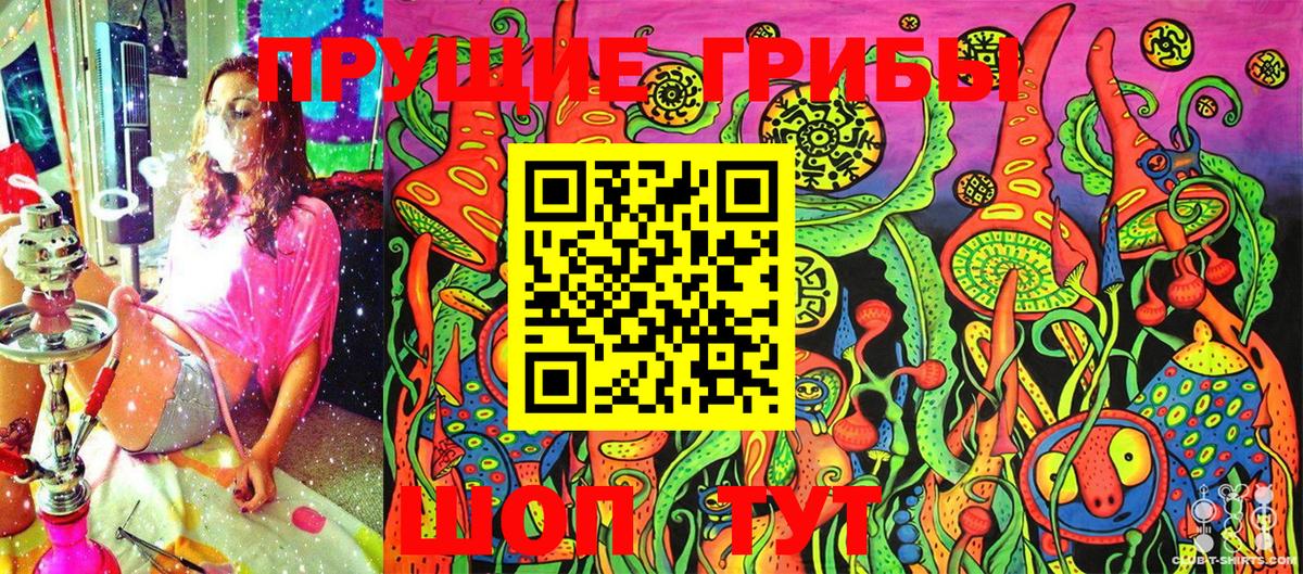 Псилоцибиновые грибы GOLDEN TEACHER Гай